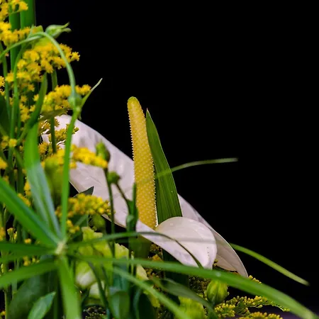 ゲストハウス Le Jardin リスボン